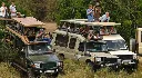 How-to-stay-safe-in-Masai-Mara.webp