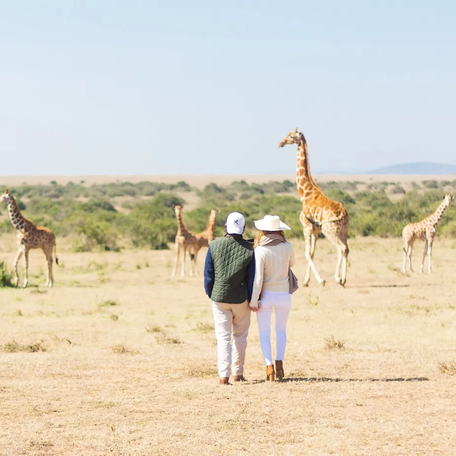 Signature Kenya Safari (7 days)