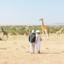 Signature Kenya Safari (7 days)