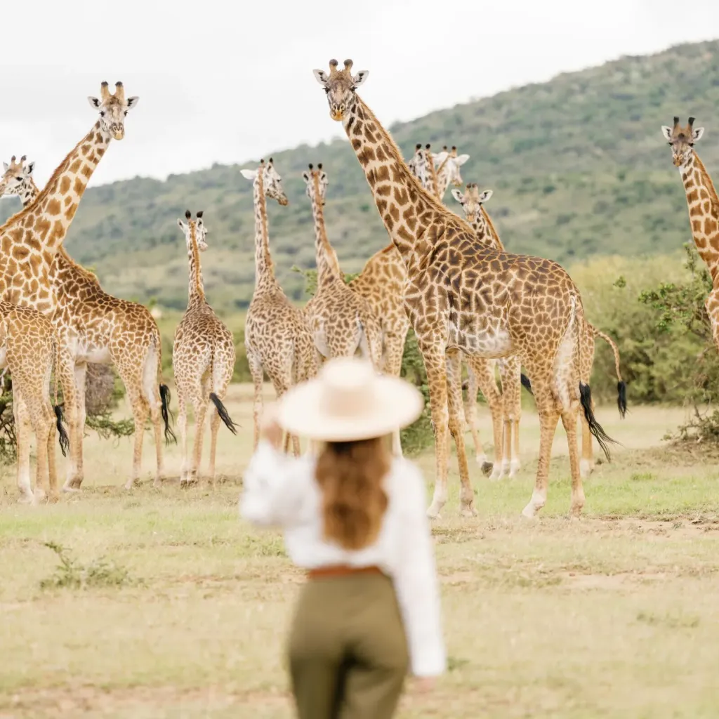 Signature Kenya Safari (10 days)